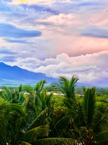 Send your best photos from Maui County to mauiphotos@mauinews.com for a chance to see them featured on our website and in our weekly print edition.